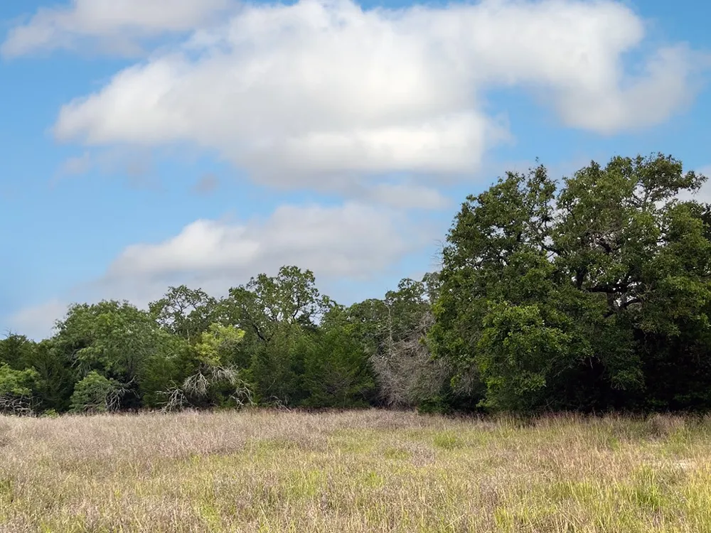 2231 Greens Creek Road Ledbetter, TX 78946