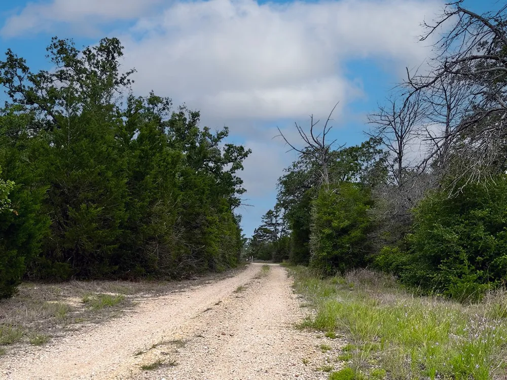 2231 Greens Creek Road Ledbetter, TX 78946