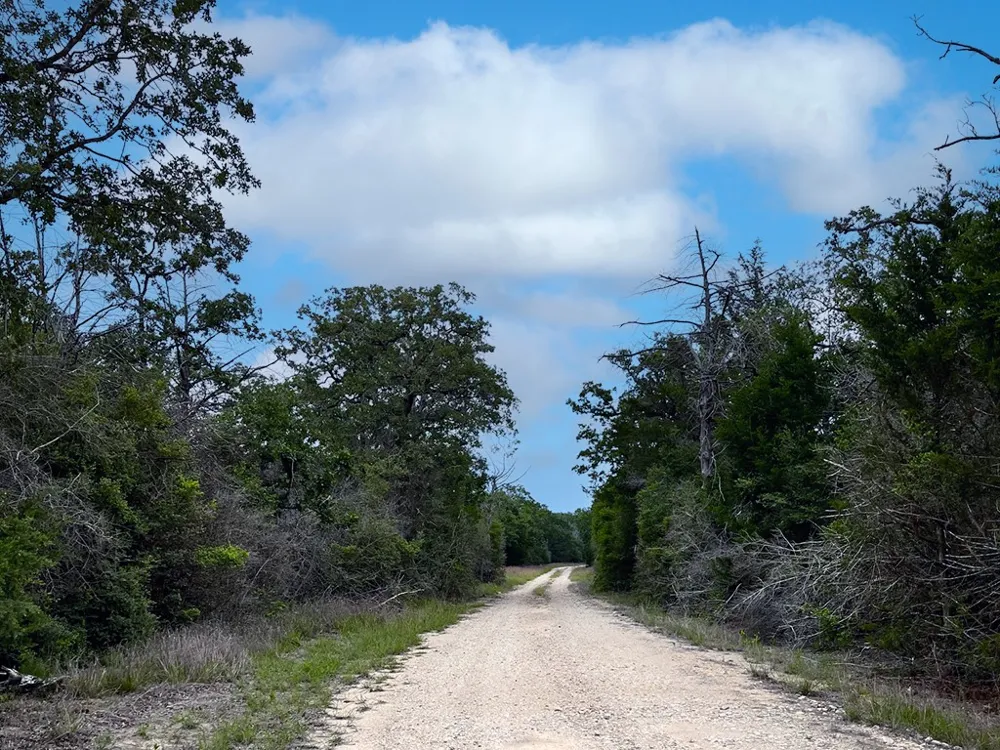 2231 Greens Creek Road Ledbetter, TX 78946