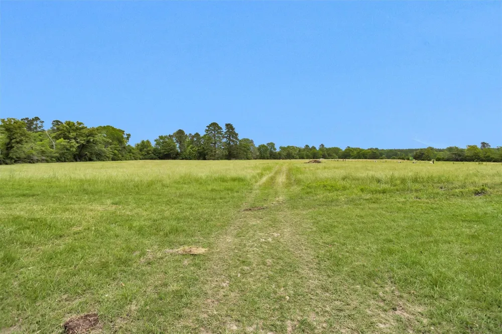 10 Hogg Extension Kennard, TX 75847