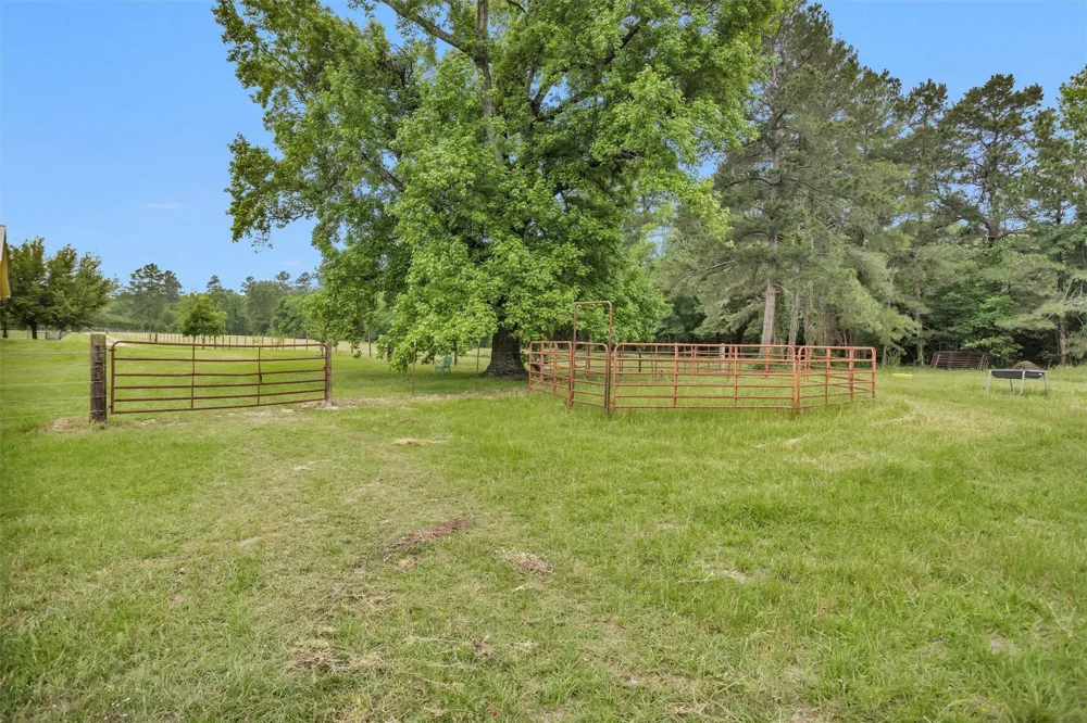10 Hogg Extension Kennard, TX 75847