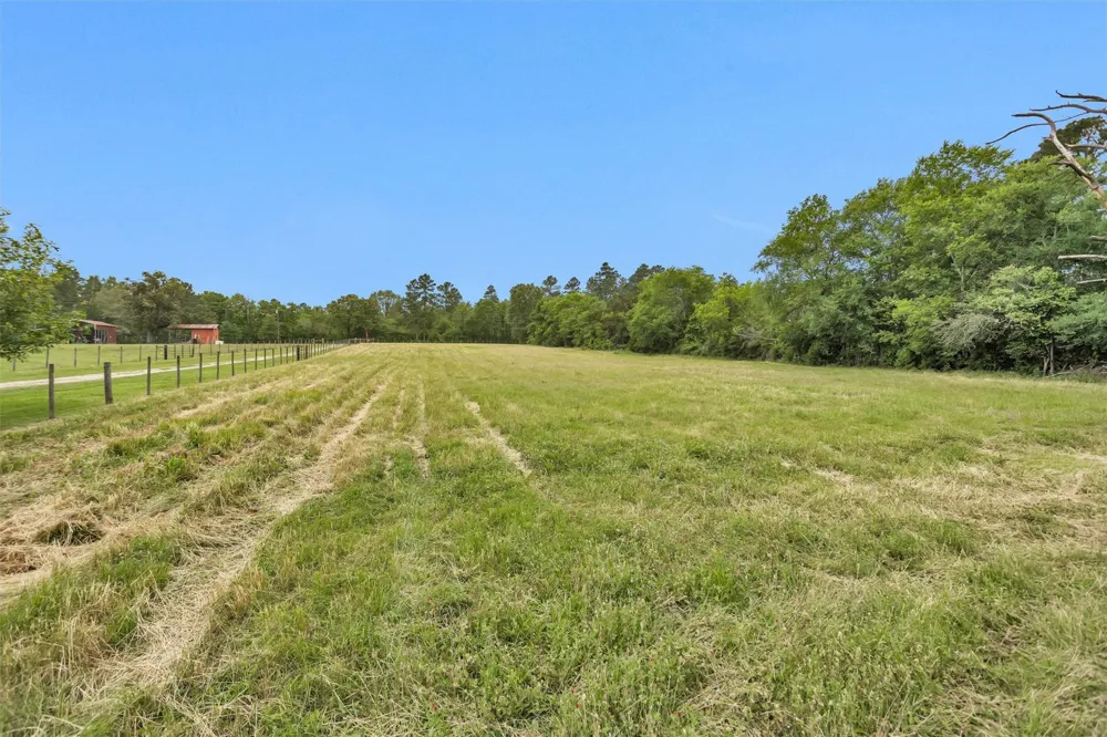 10 Hogg Extension Kennard, TX 75847