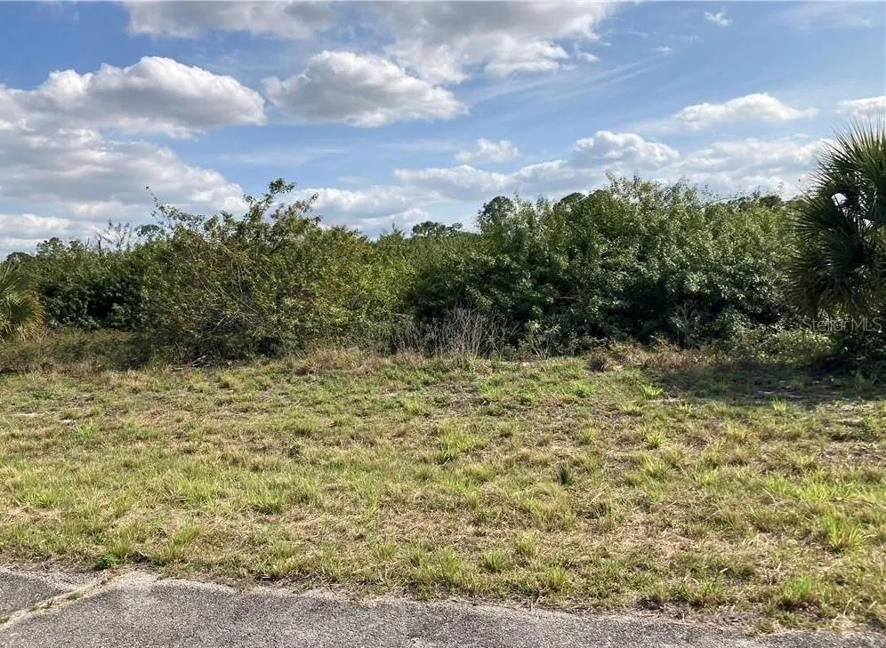 208 ELMWOOD STREET Labelle, FL 33935