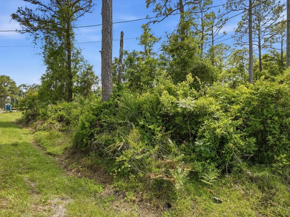 1340 EAST PARKWAY Deland, FL 32724