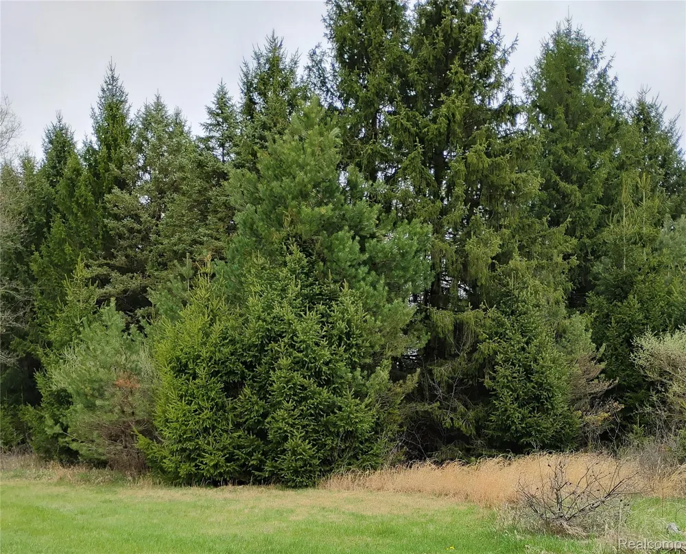 Middle Road Highland Charter Township, MI 48357