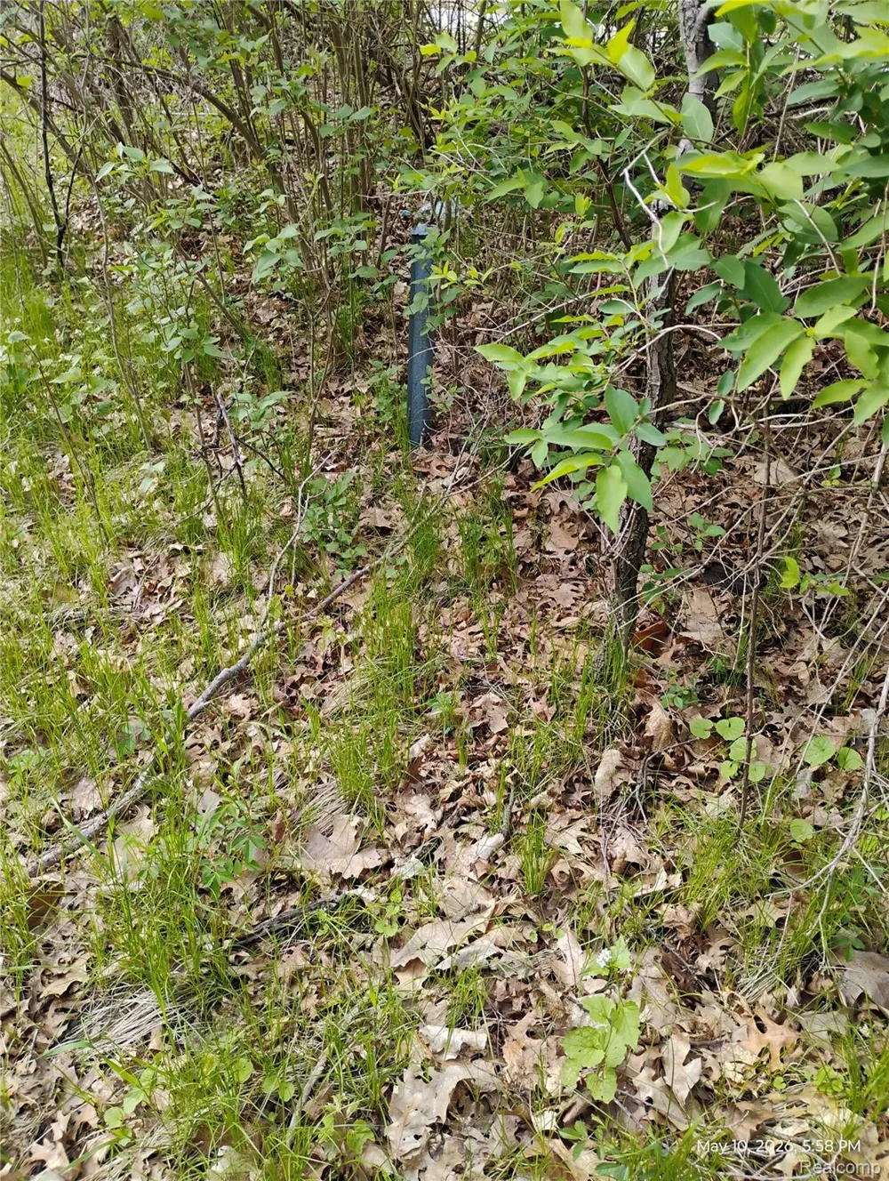 Middle Road Highland Charter Township, MI 48357