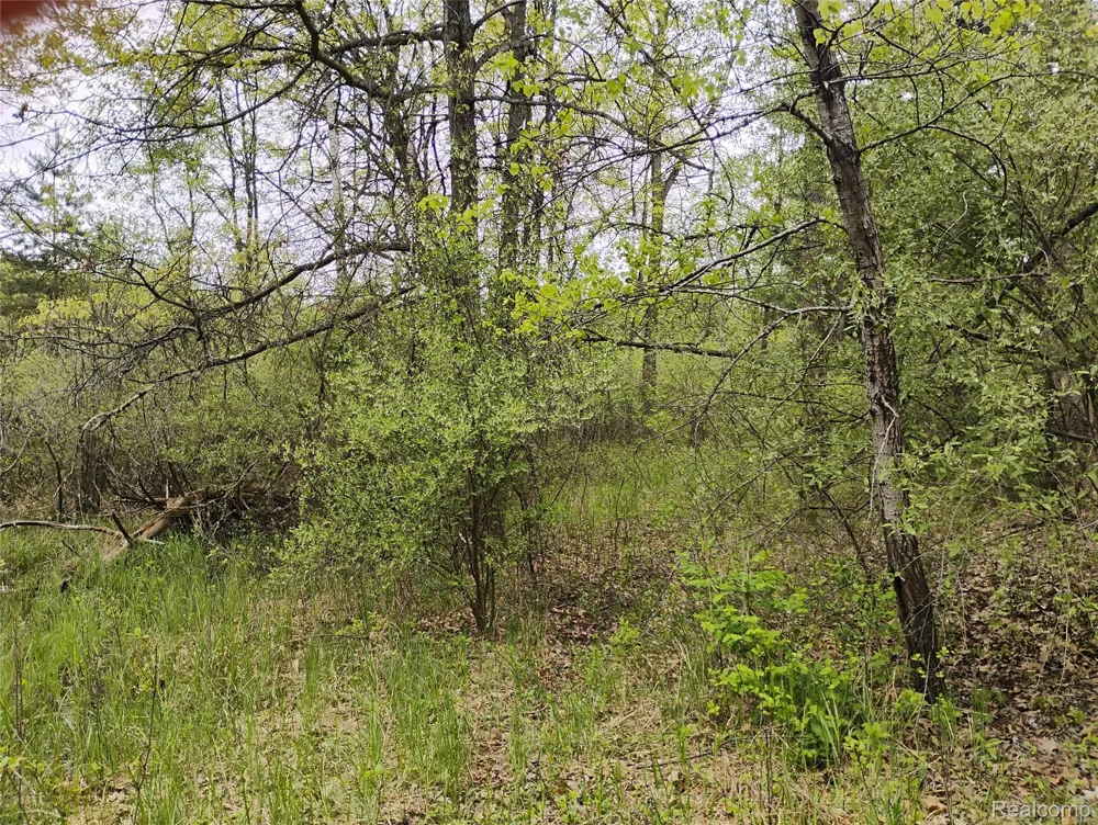 Middle Road Highland Charter Township, MI 48357