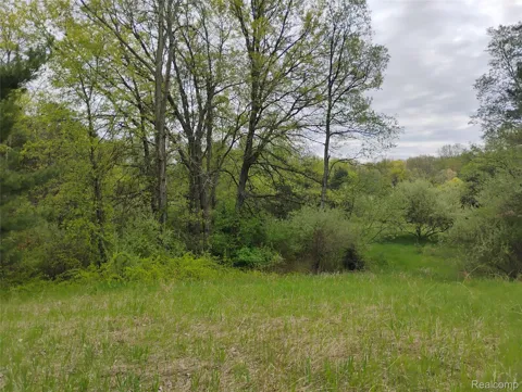 Middle Road