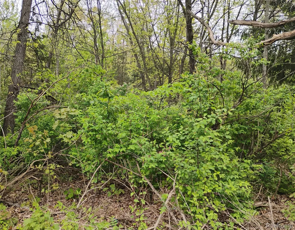 Middle Road Highland Charter Township, MI 48357