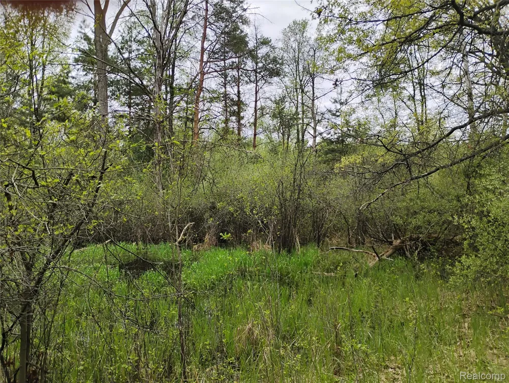 Middle Road Highland Charter Township, MI 48357