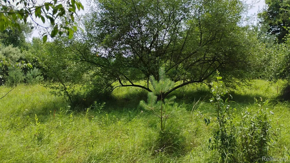Middle Road Highland Charter Township, MI 48357