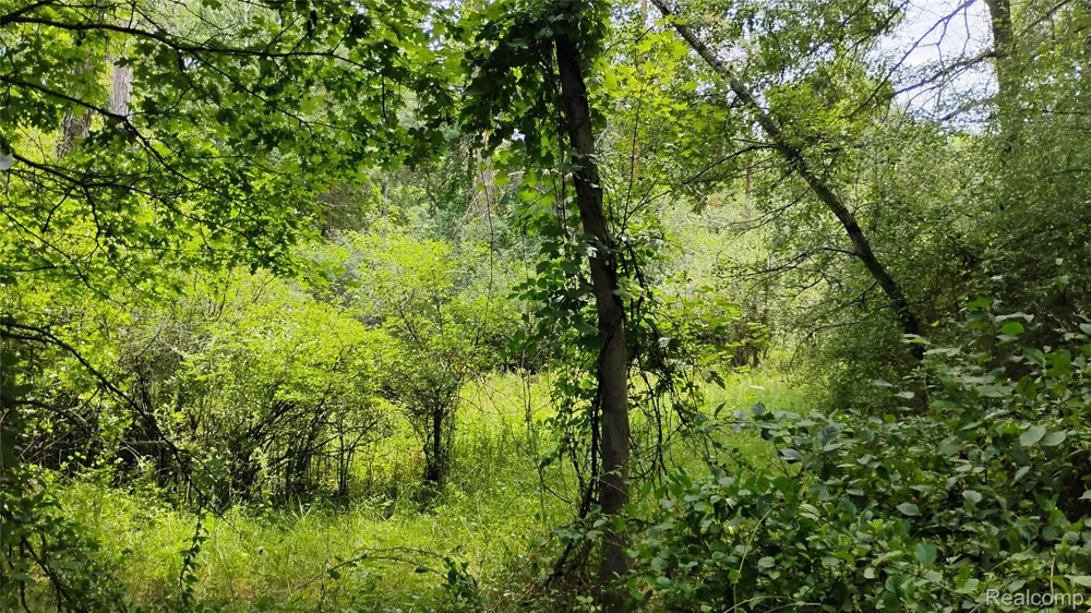 Middle Road Highland Charter Township, MI 48357