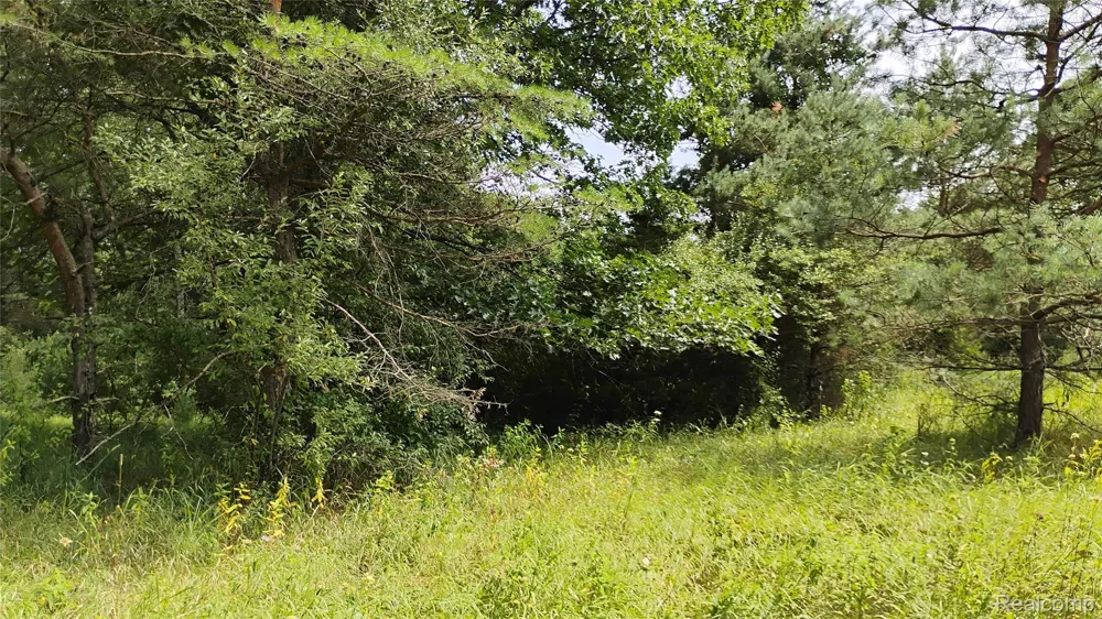 Middle Road Highland Charter Township, MI 48357