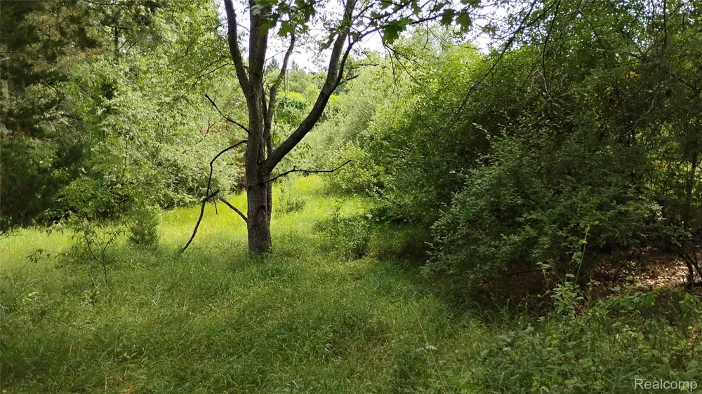 Middle Road Highland Charter Township, MI 48357