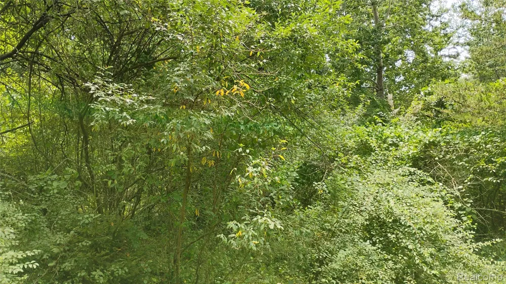 Middle Road Highland Charter Township, MI 48357