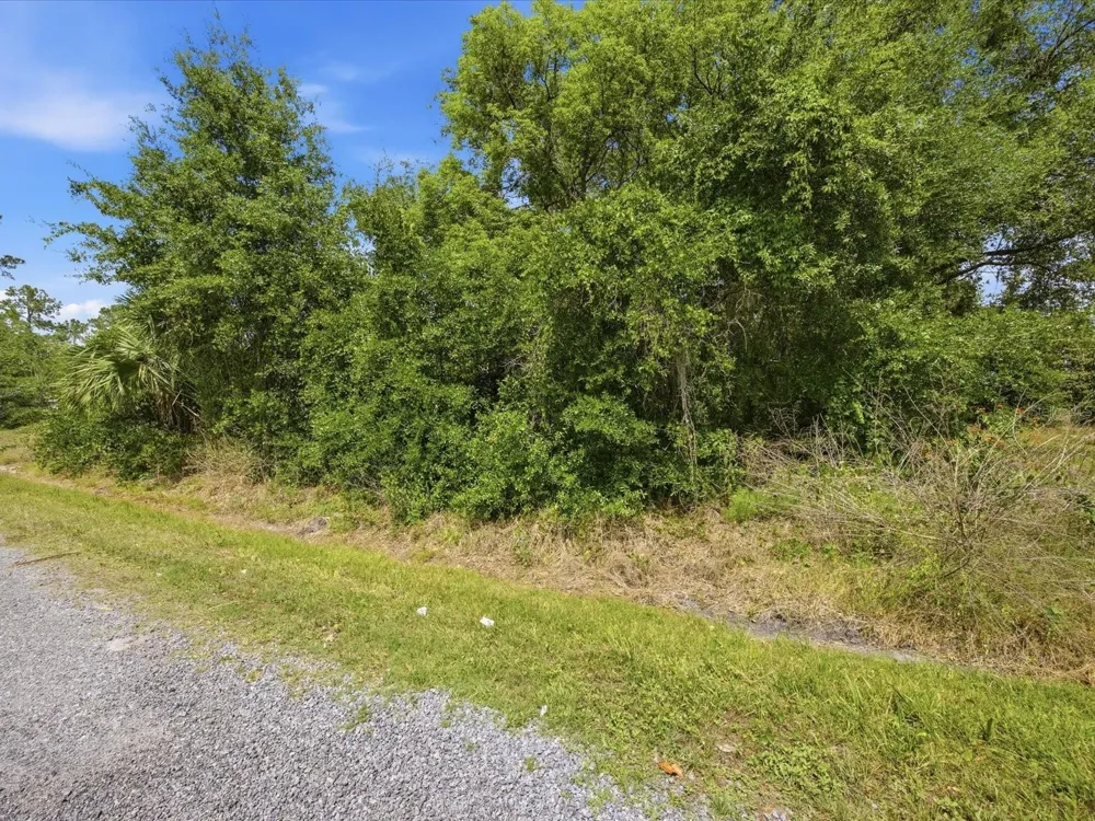 2155 5TH AVENUE Deland, FL 32724