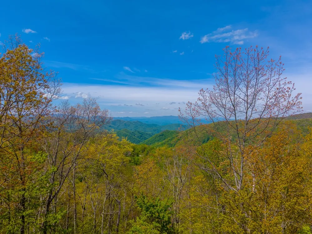 Equestrian Drive Bryson City, NC 28713