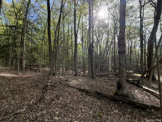 Glenwild Drive Smallwood, NY 12720