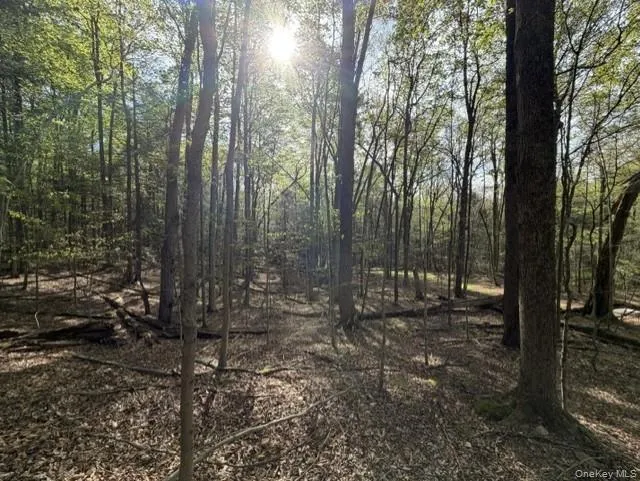 Glenwild Drive Smallwood, NY 12720