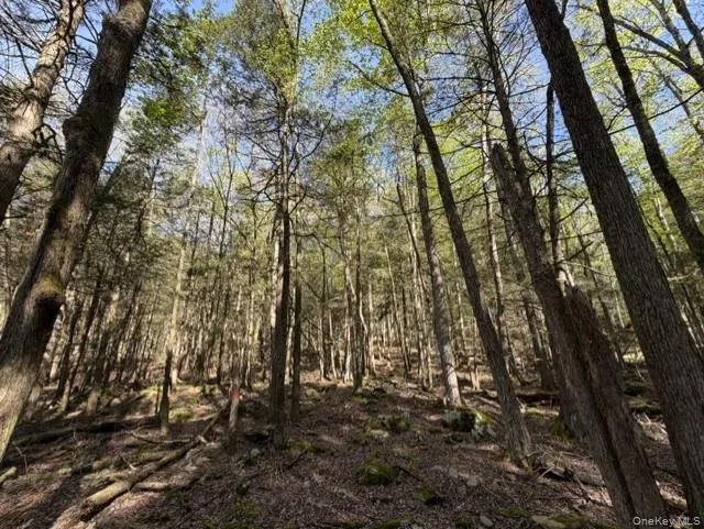 Glenwild Drive Smallwood, NY 12720