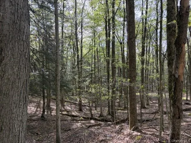 Glenwild Drive Smallwood, NY 12720