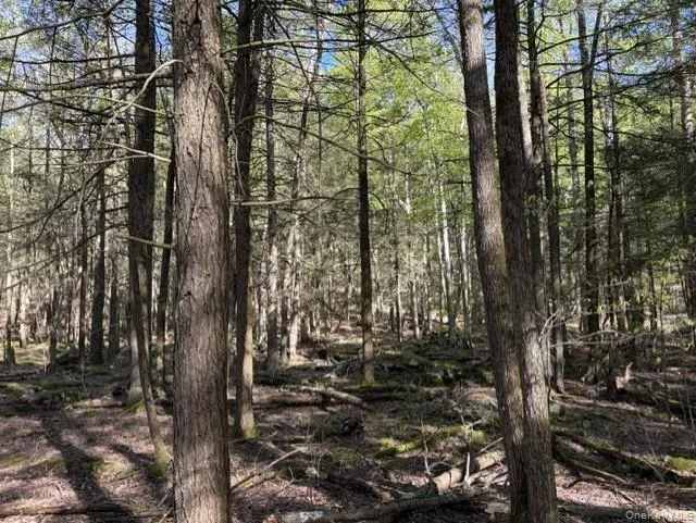 Glenwild Drive Smallwood, NY 12720
