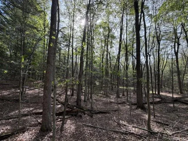 Glenwild Drive Smallwood, NY 12720