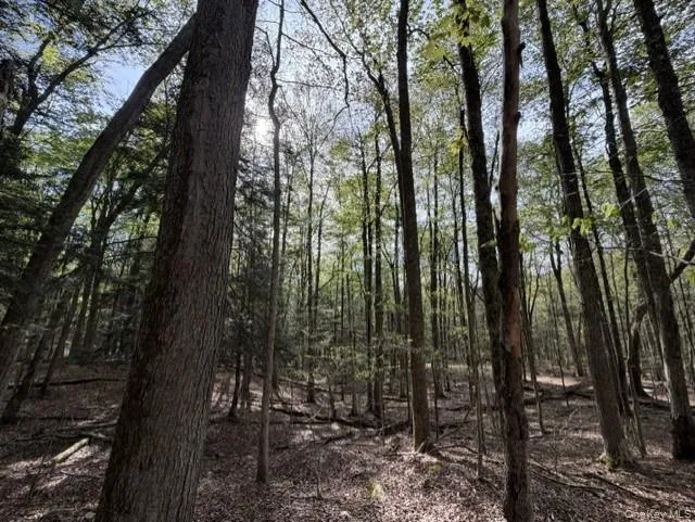 Glenwild Drive Smallwood, NY 12720