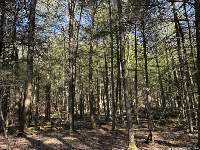 Glenwild Drive Smallwood, NY 12720