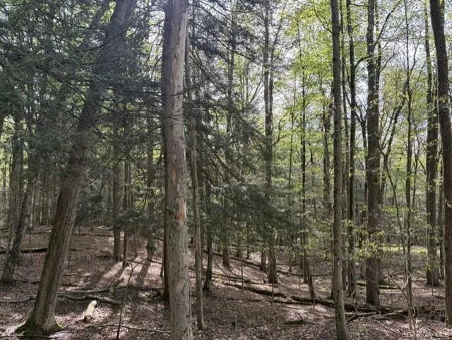 Glenwild Drive Smallwood, NY 12720