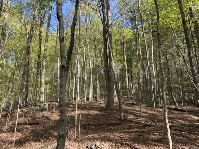 Glenwild Drive Smallwood, NY 12720