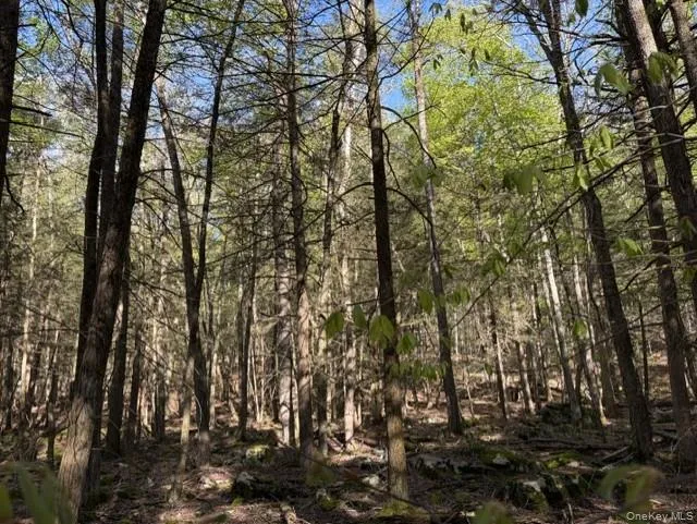 Glenwild Drive Smallwood, NY 12720
