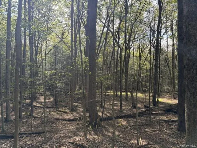 Glenwild Drive Smallwood, NY 12720