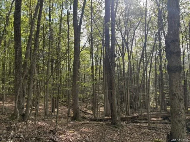 Glenwild Drive Smallwood, NY 12720