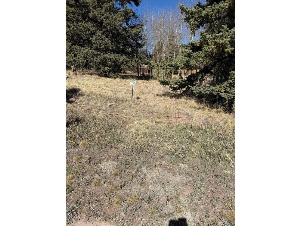 405 Meadow Park Drive Divide, CO 80814
