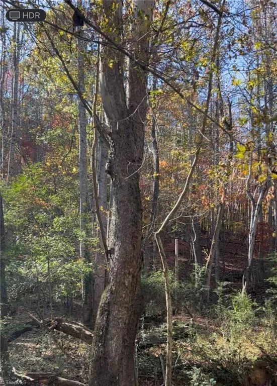0 Snuggs Park Road Albemarle, NC 28001