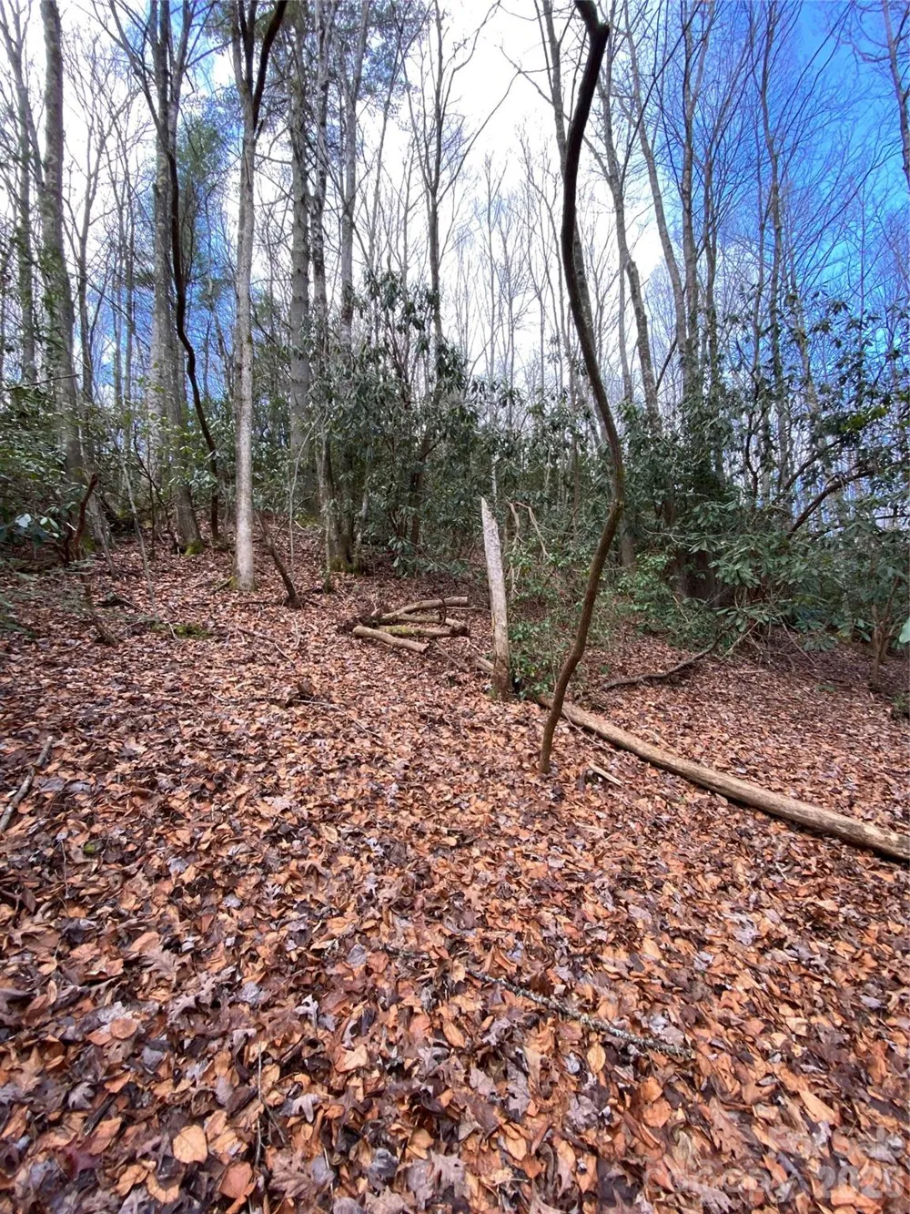 000 Waterford Place Brevard, NC 28712