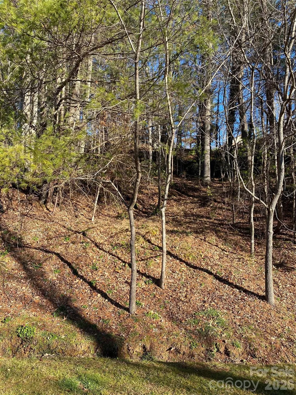 000 Waterford Place Brevard, NC 28712