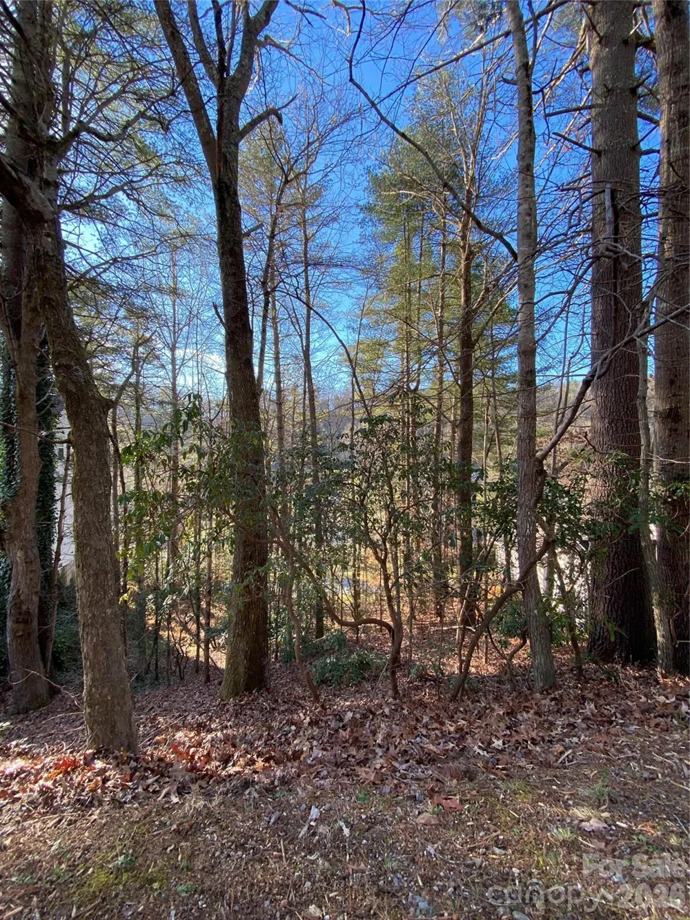 000 Waterford Place Brevard, NC 28712