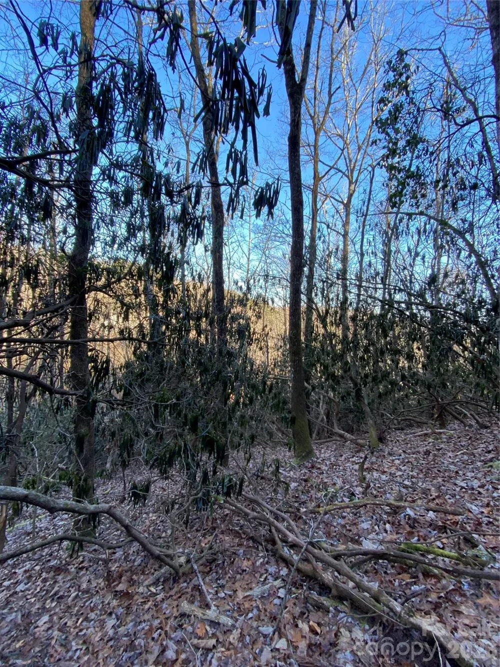 000 Waterford Place Brevard, NC 28712