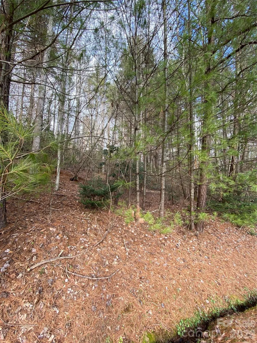 000 Waterford Place Brevard, NC 28712