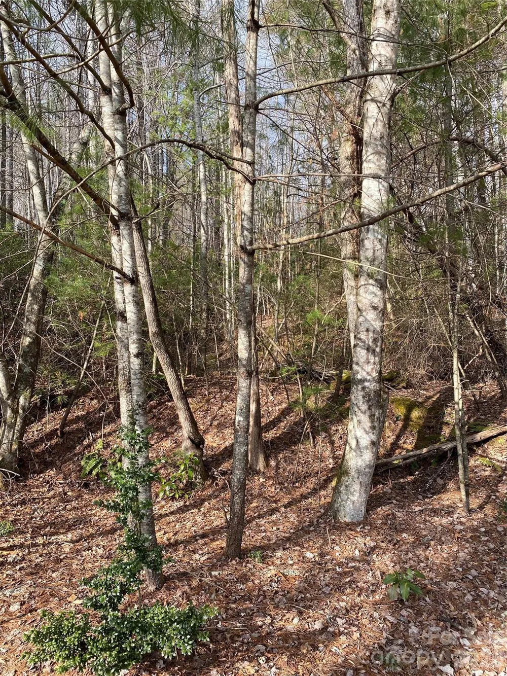 000 Waterford Place Brevard, NC 28712