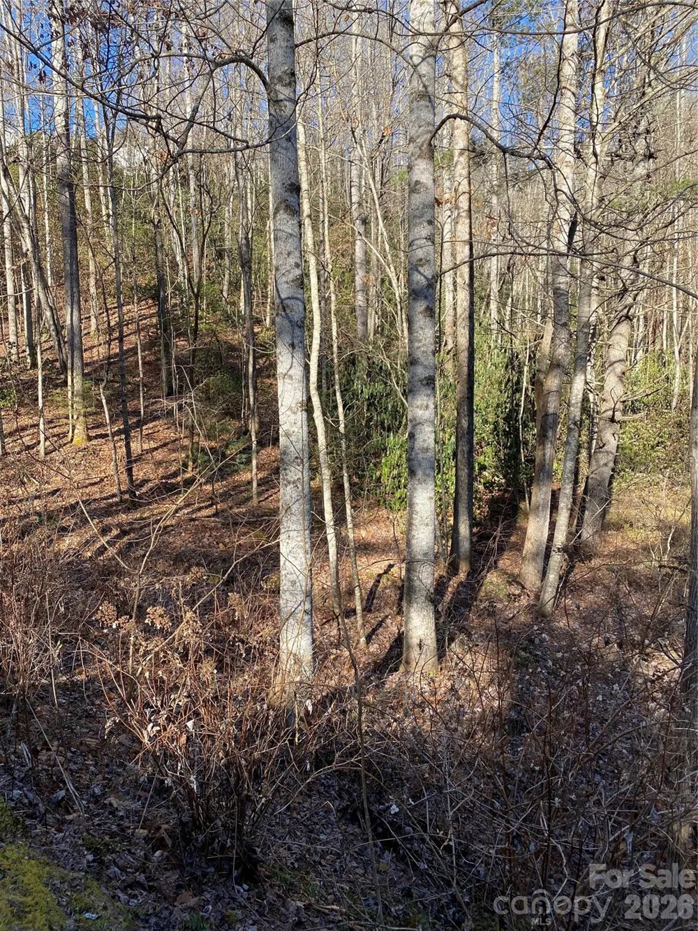 000 Waterford Place Brevard, NC 28712