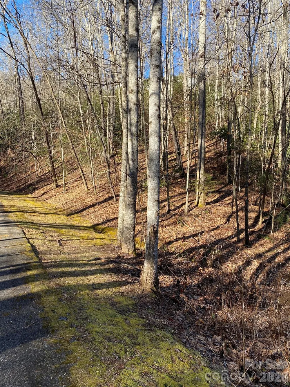000 Waterford Place Brevard, NC 28712
