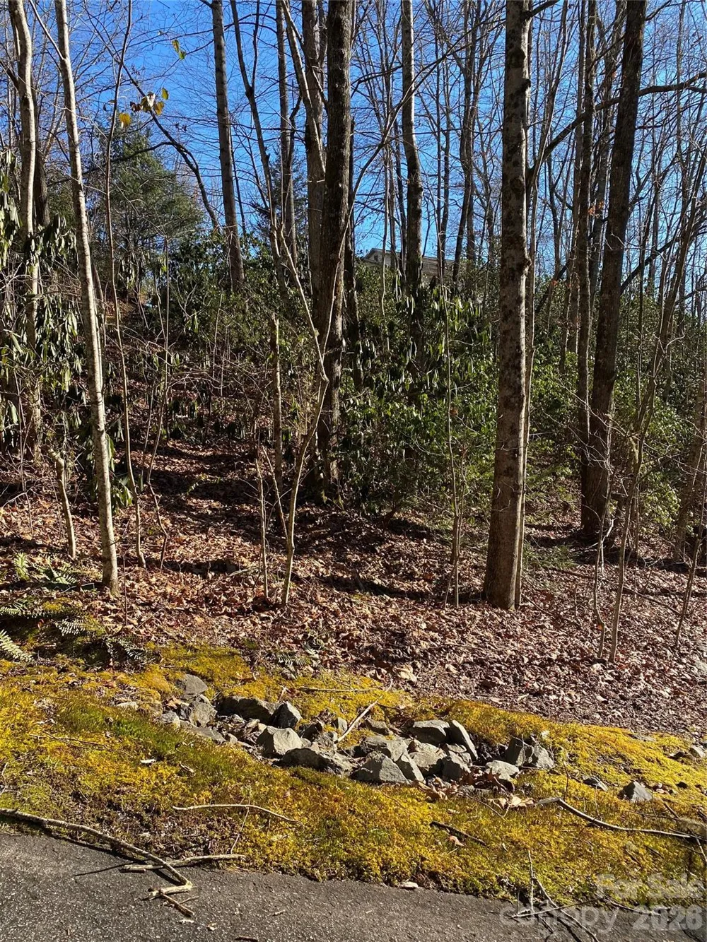 000 Waterford Place Brevard, NC 28712