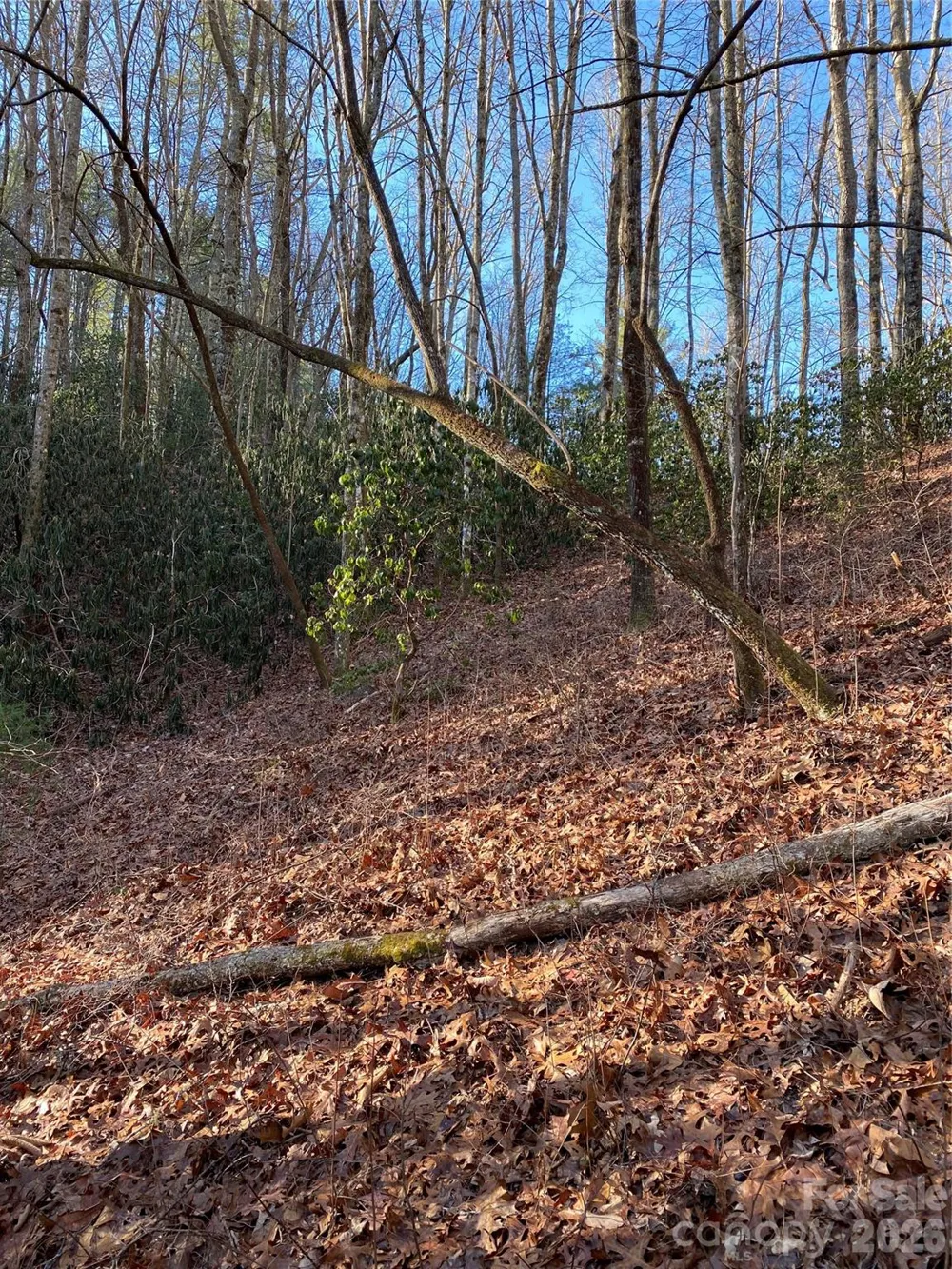000 Waterford Place Brevard, NC 28712