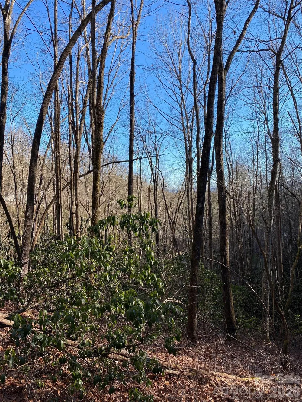 000 Waterford Place Brevard, NC 28712