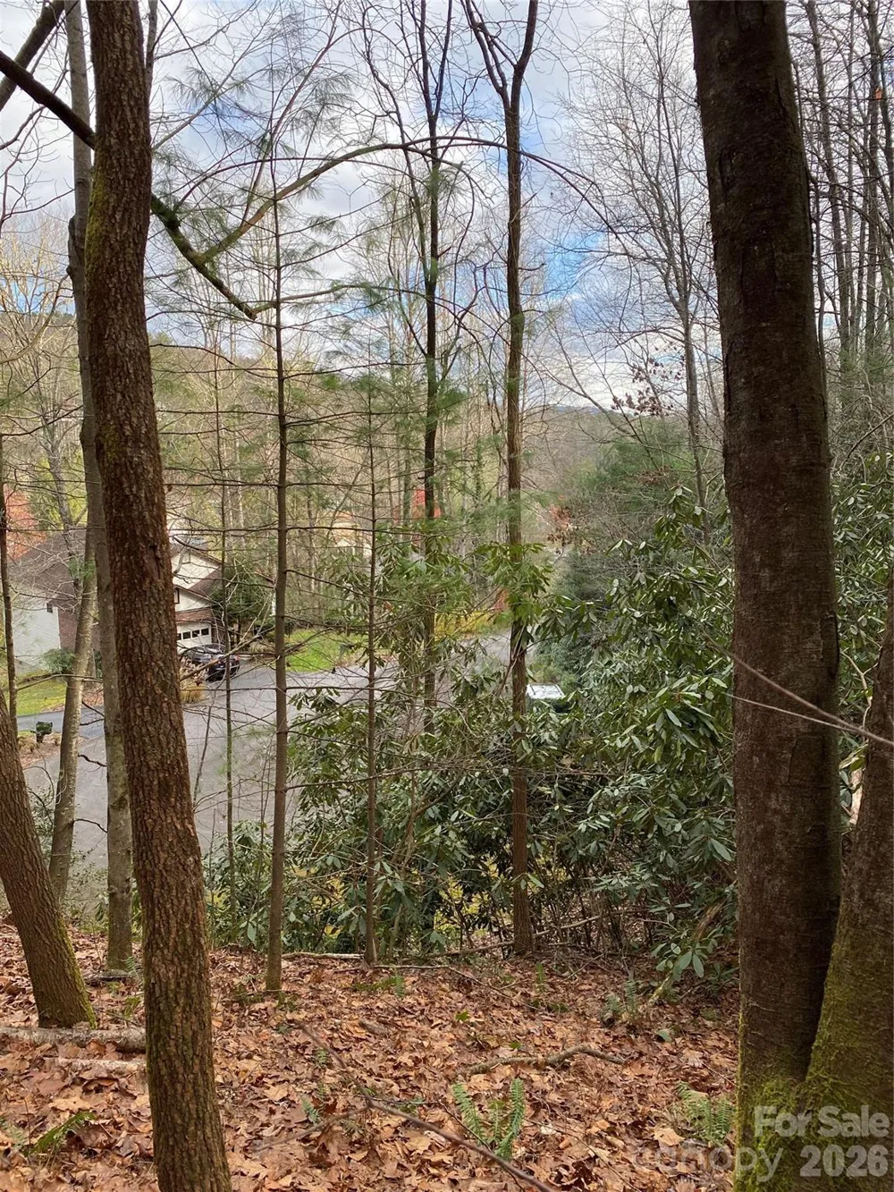 000 Waterford Place Brevard, NC 28712