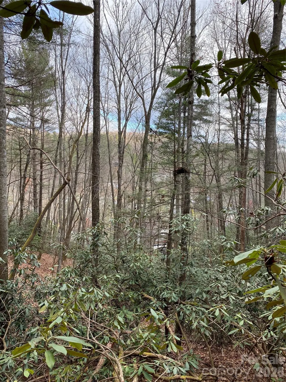 000 Waterford Place Brevard, NC 28712