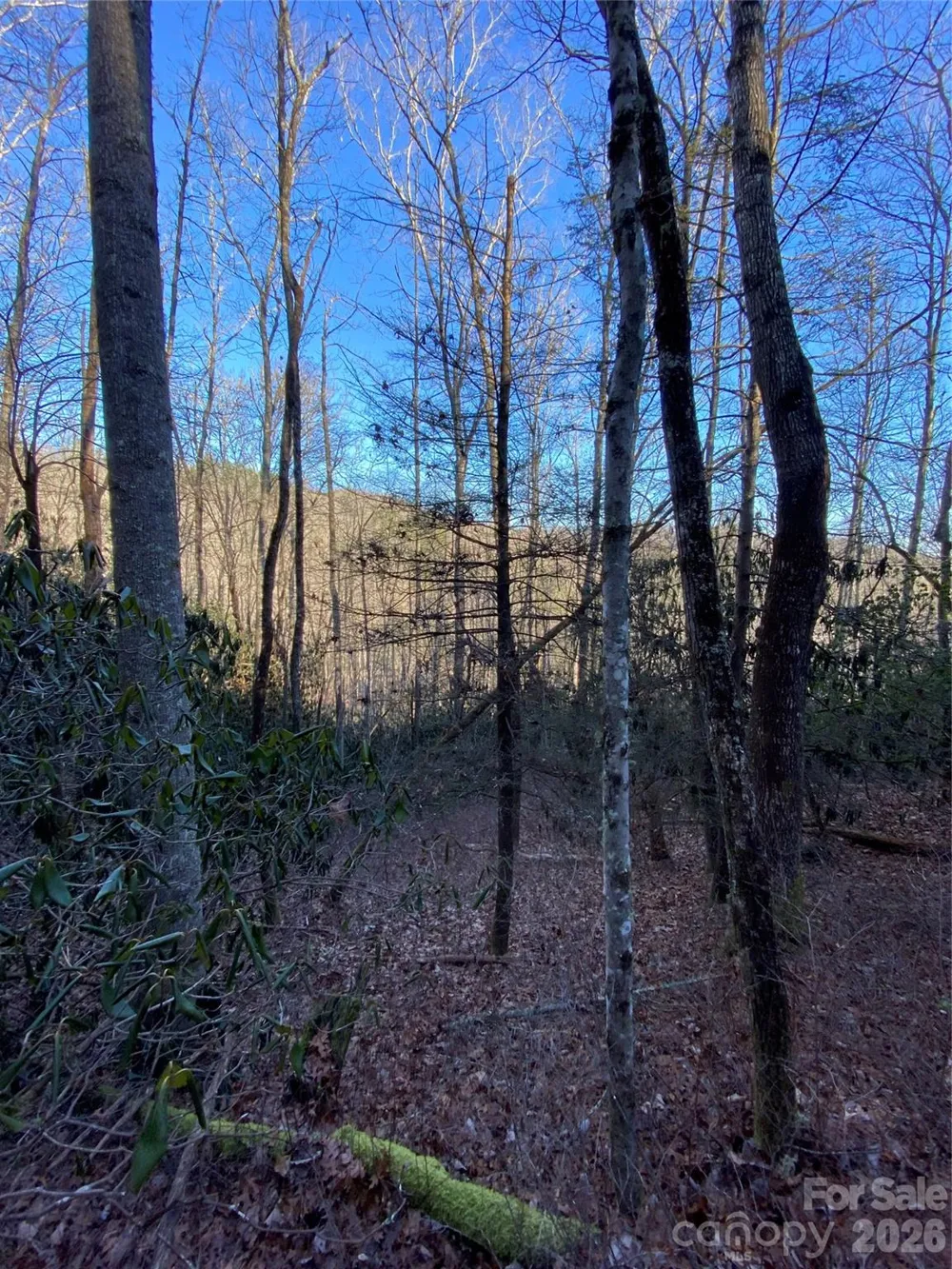 000 Waterford Place Brevard, NC 28712